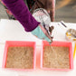 Person watering two hemp grow mats in pink seed starting trays using a handheld sprayer for indoor planting