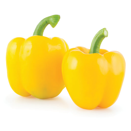 Pepper Joe's California Wonder Golden pepper seeds