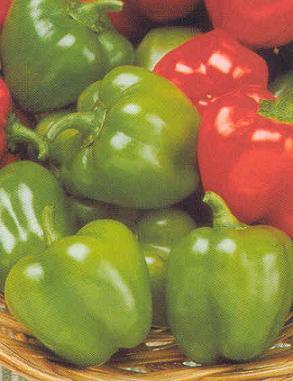 Jingle Bell Pepper Seeds Sweet