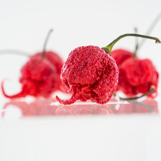 Pepper Joe's Carolina Reaper Pepper pods. Mature peppers shown to represent seeds for sale, with white background