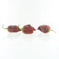 Pepper Joe's Purple Reaper Pepper pods. Three mature peppers shown to represent seeds for sale, with white background