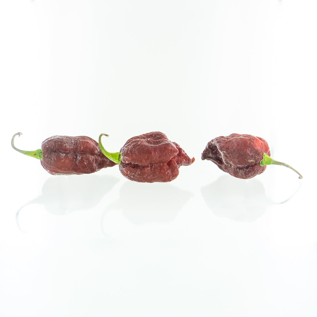 Pepper Joe's Purple Reaper Pepper pods. Three mature peppers shown to represent seeds for sale, with white background