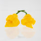 Pepper Joe's Trinidad Perfume chili seeds - two yellow peppers with stingers on white background